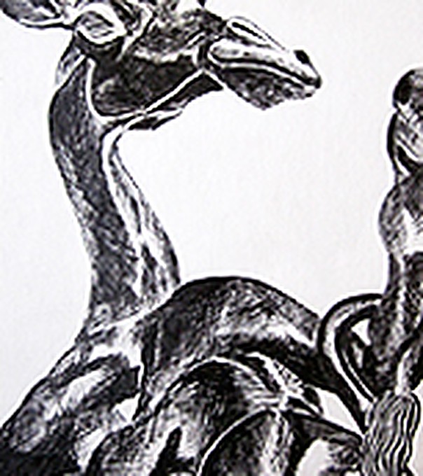 Ink drawing of a giraffe among foliage, high contrast black and white